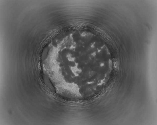 X0000113080771200909250949