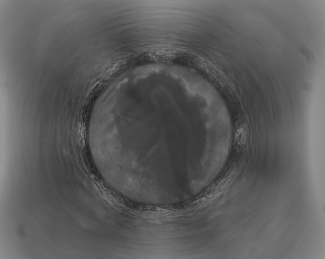 X0000113080772200909250949