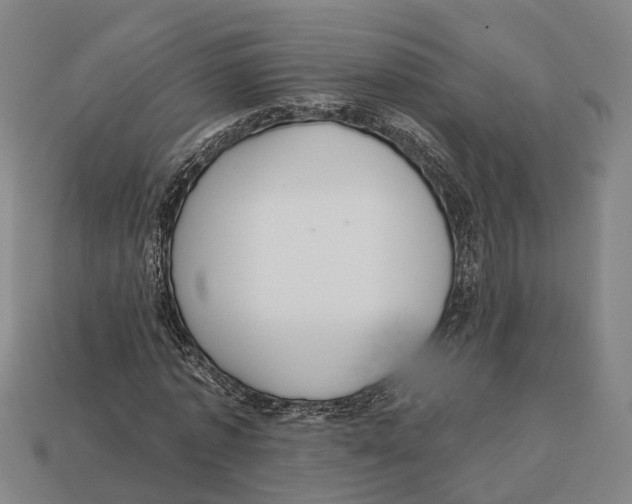 X0000113080773200909250949