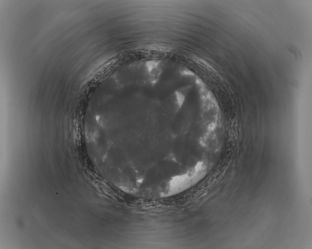 X0000113080774200909250949