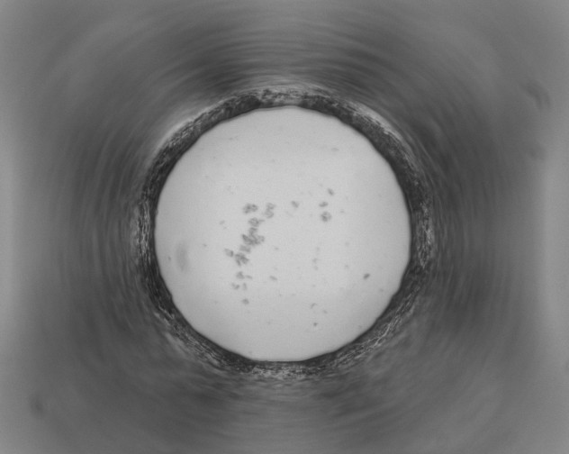 X0000113080775200909250949