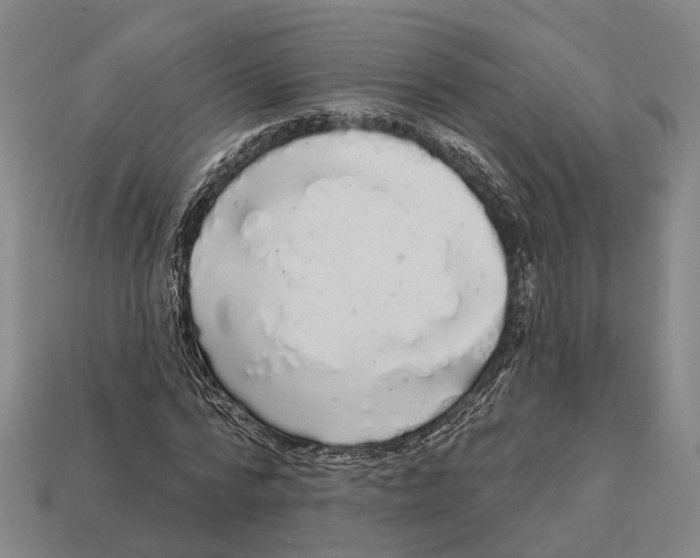 X0000113080776200909250949