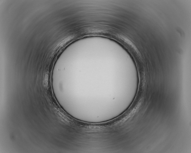 X0000113080777200909250949