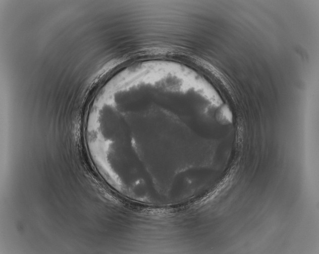 X0000113080778200909250949