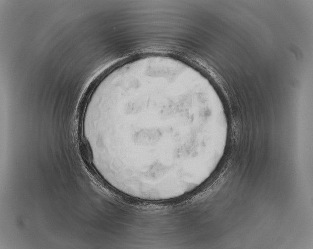 X0000113080779200909250949