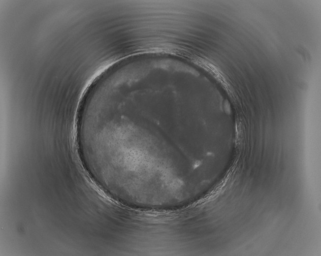 X0000113080780200909250949