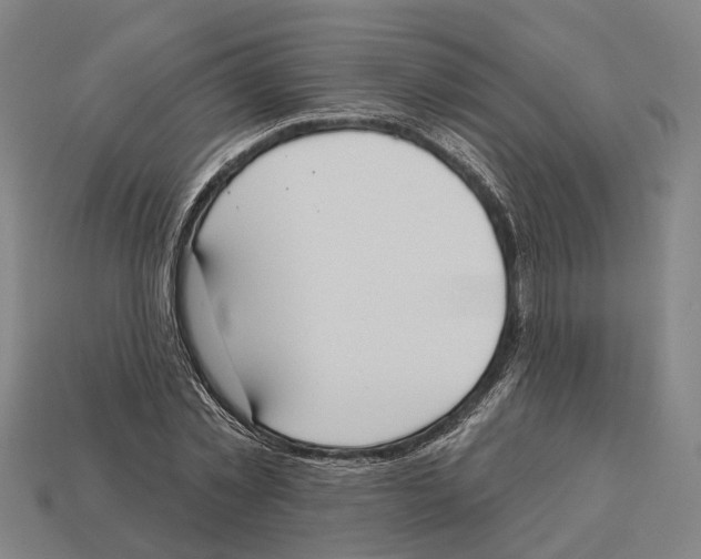 X0000113080781200909250948