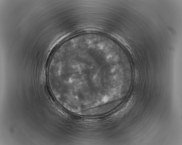 X0000113080782200909250948