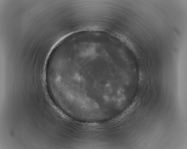 X0000113080784200909250948