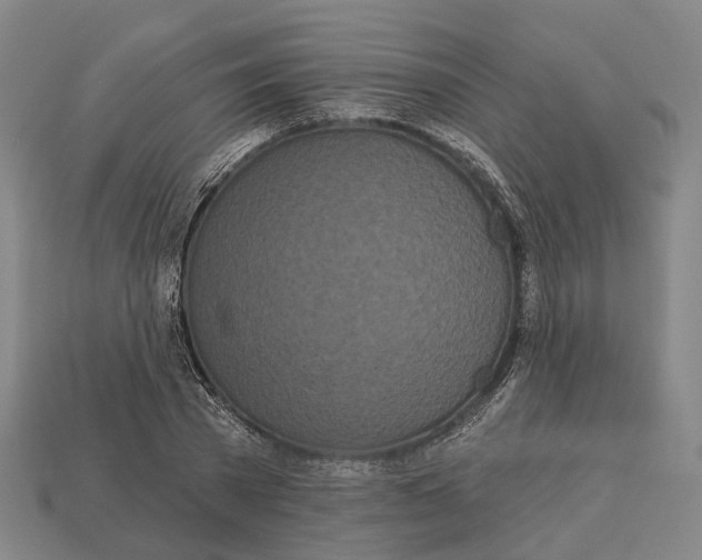 X0000113080785200909250948