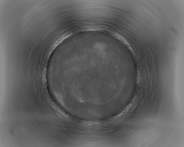 X0000113080786200909250948