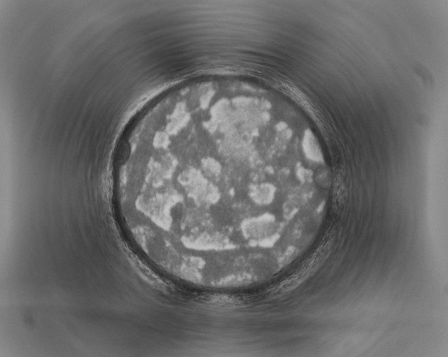 X0000113080787200909250948