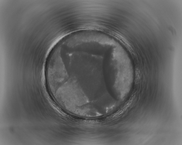 X0000113080788200909250948