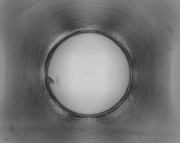 X0000113080789200909250948