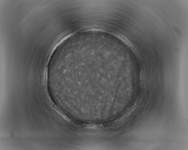 X0000113080790200909250948