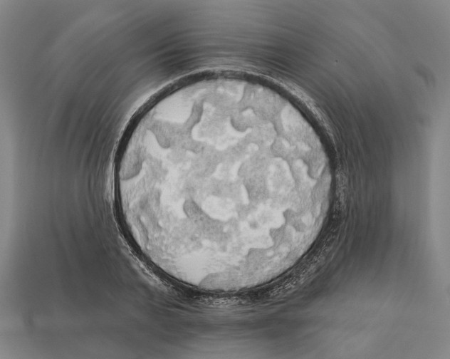 X0000113080791200909250948