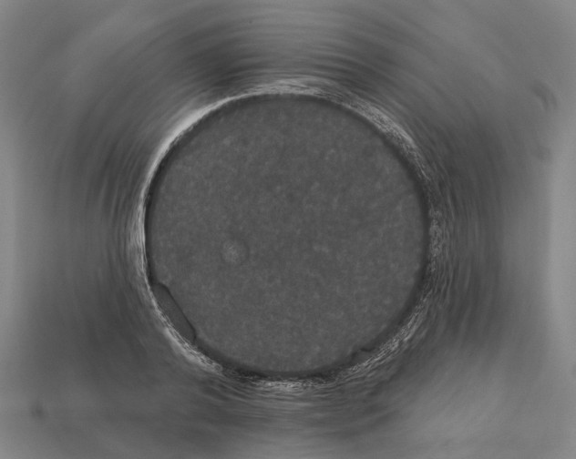 X0000113080792200909250948
