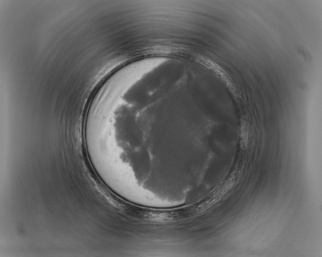 X0000113080794200909250948