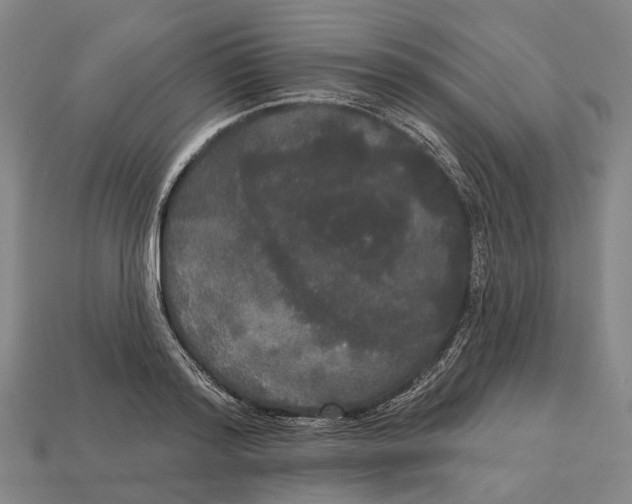 X0000113080796200909250948