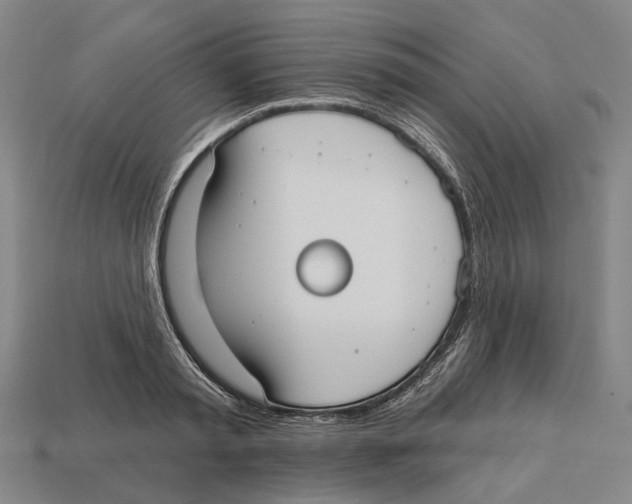 X0000113080797200909250948