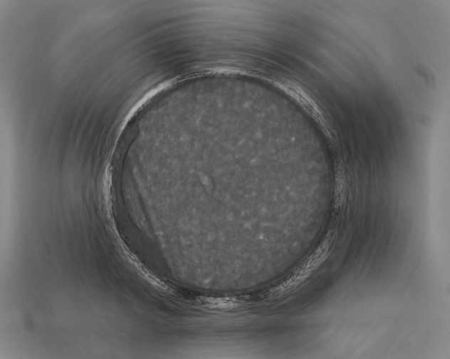 X0000113080798200909250948