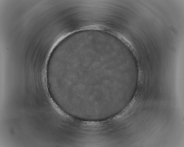 X0000113080800200909250948