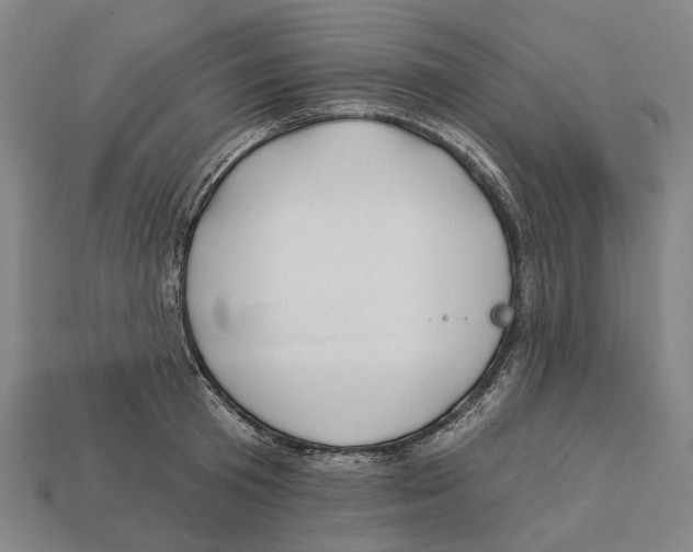 X0000113080801200909250948
