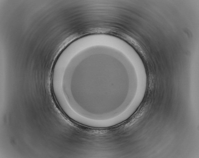 X0000113080802200909250948