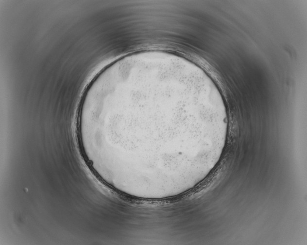 X0000113080803200909250948