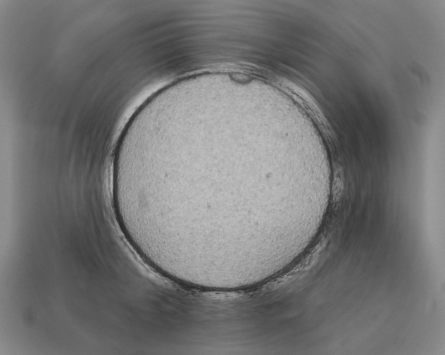 X0000113080804200909250948