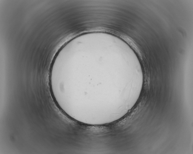 X0000113080805200909250948
