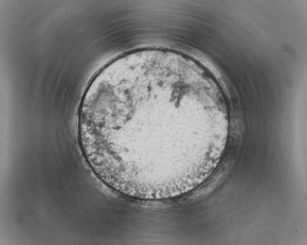 X0000113080807200909250948