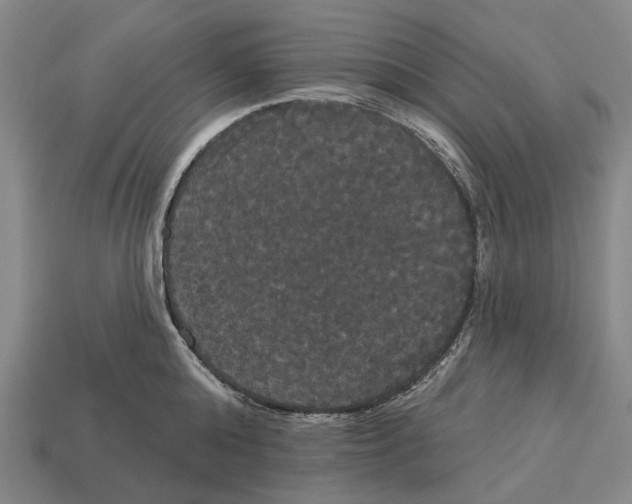 X0000113080808200909250948