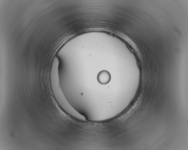 X0000113080809200909250948