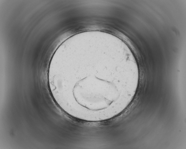 X0000113080810200909250948