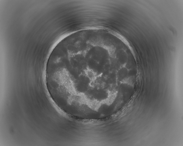 X0000113080811200909250948