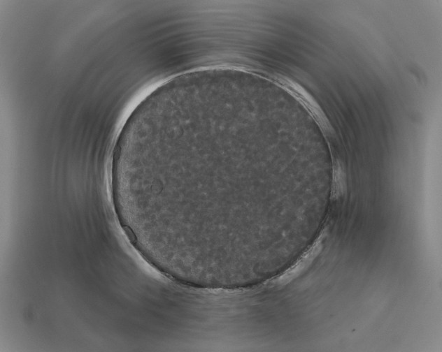 X0000113080812200909250948