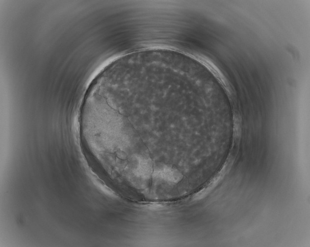 X0000113080814200909250948