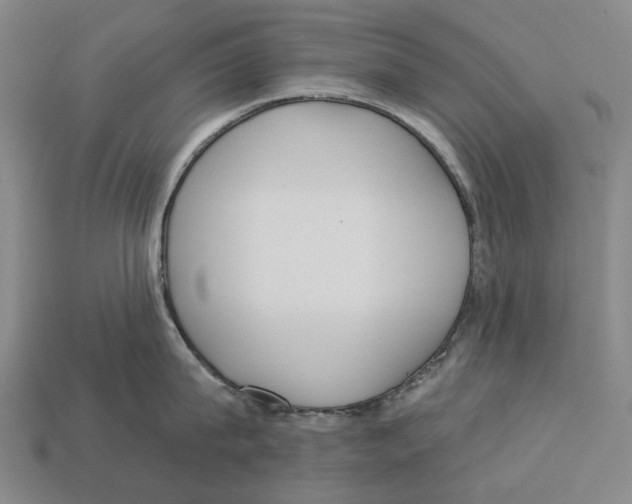 X0000113080815200909250948