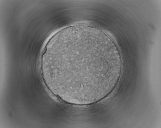X0000113080816200909250948