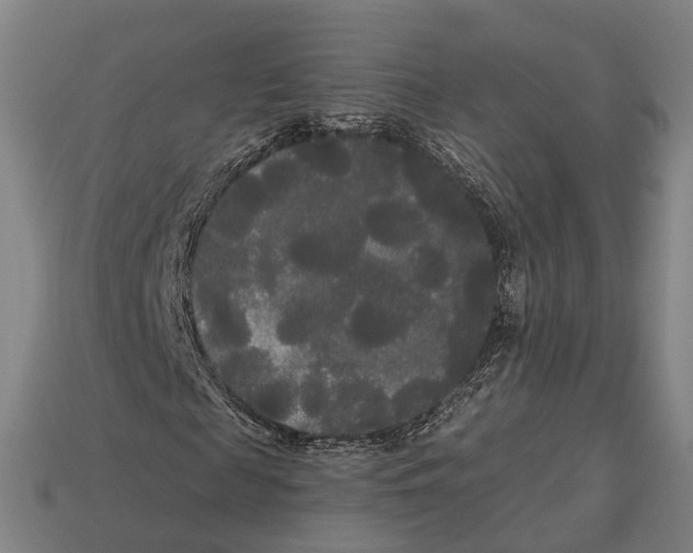 X0000113080817200909250947
