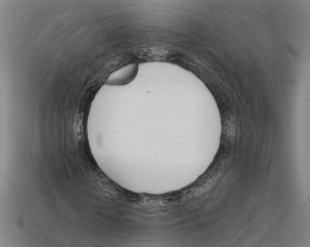 X0000113080818200909250947