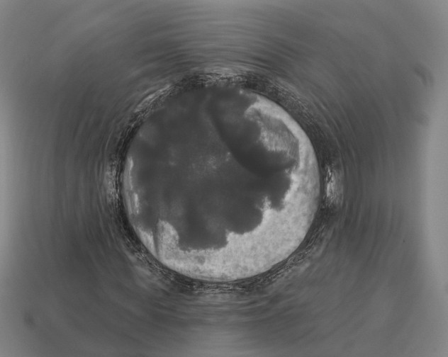 X0000113080819200909250947