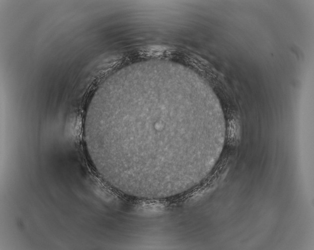 X0000113080820200909250947
