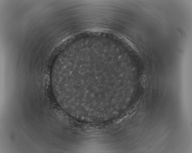 X0000113080821200909250947