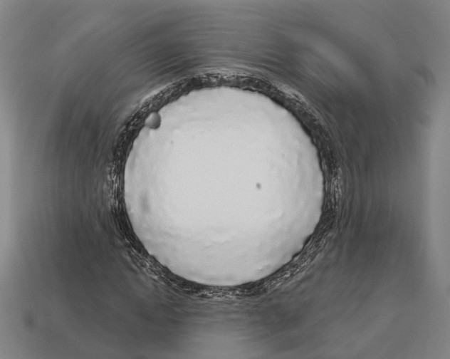 X0000113080822200909250947