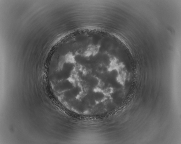 X0000113080823200909250947