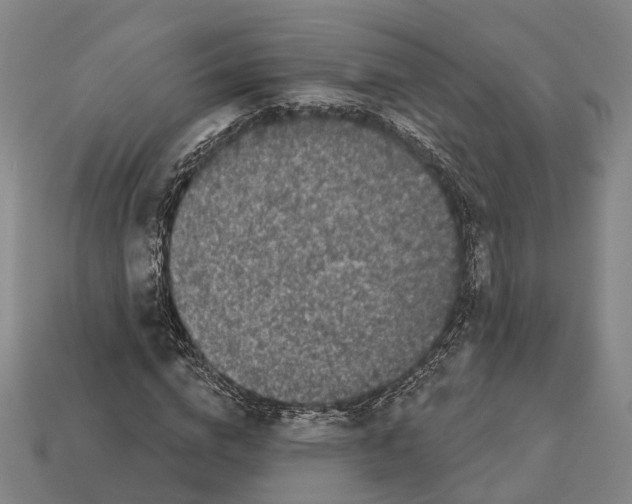 X0000113080824200909250947