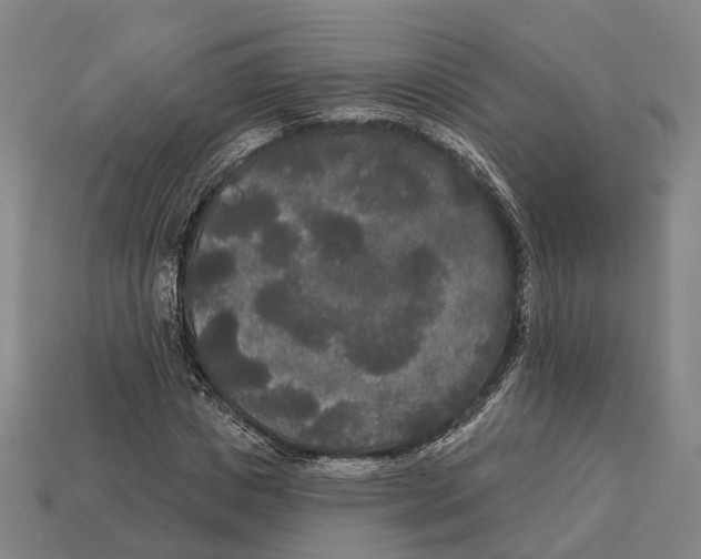 X0000113080825200909250947