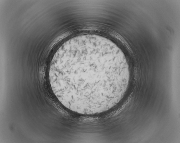 X0000113080826200909250947